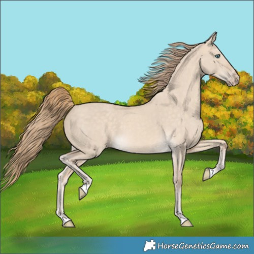Horse Color:Perlino Dun 