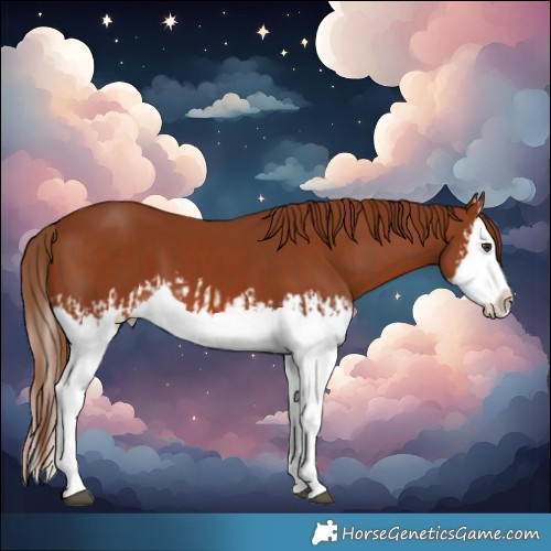 Horse Color:Chestnut Splash and Chestnut Splash