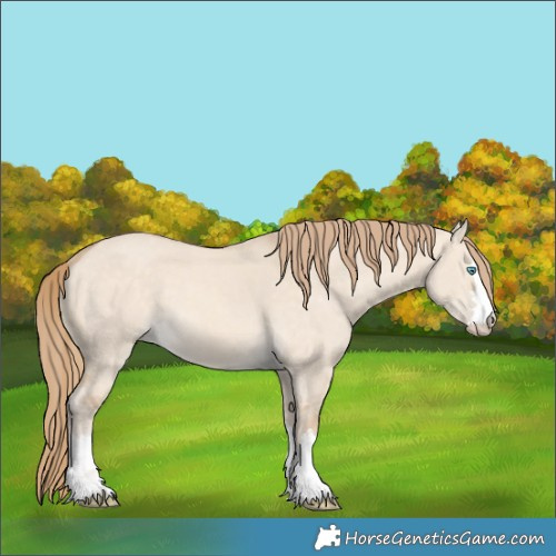 Horse Color:Perlino Dun 