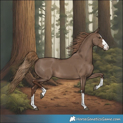 Horse Color:Liver Red Dun