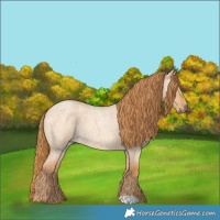 Horse Color:Red Dun Roan