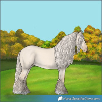 Horse Color:Cremello Dun