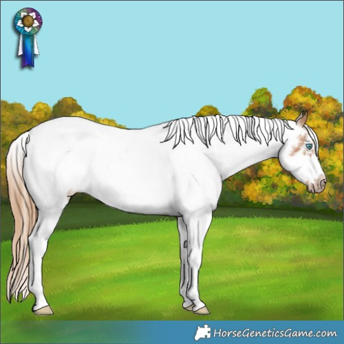 Horse Color:White Spotted Chestnut Frame Rabicano