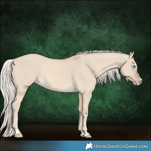 Horse Color:Cremello Dun 
