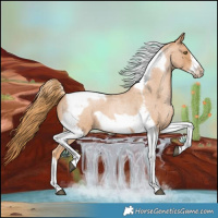 Horse Color:Red Roan Pearl Tobiano Frame 