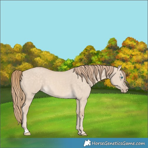 Horse Color:Perlino Dun 