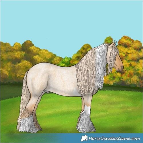 Horse Color:Palomino Roan Dun Tobiano