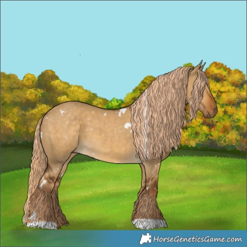 Horse Color:White Spotted Chocolate Palomino Dun