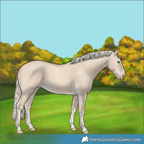Horse Color:Cremello Dun