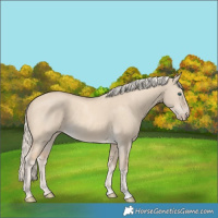 Horse Color:Cremello Dun