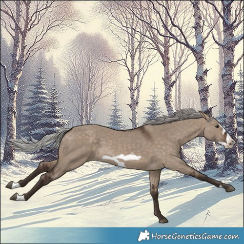 Horse Color:Silver Brown Dun Frame 