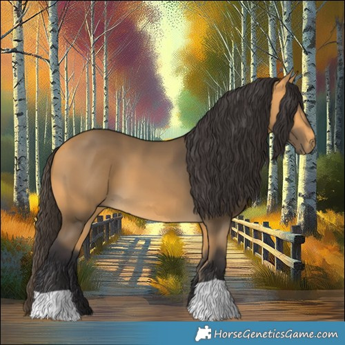 Horse Color:Buckskin