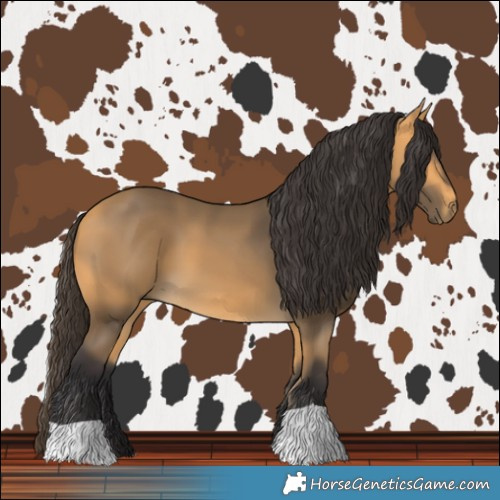Horse Color:Buckskin 