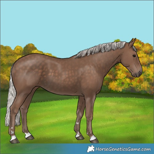 Horse Color:Silver Black