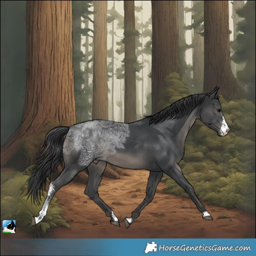 Horse Color:Black Ice Sabino 