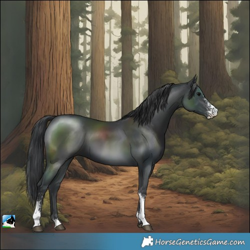 Horse Color:Black Sabino 