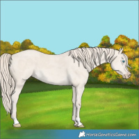 Horse Color:Smoky Creme Dun Merle