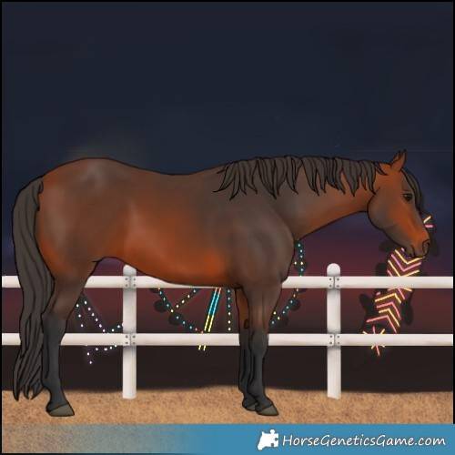 Horse Color:Bay 