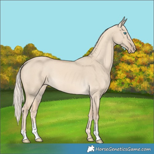 Horse Color:Cremello Dun
