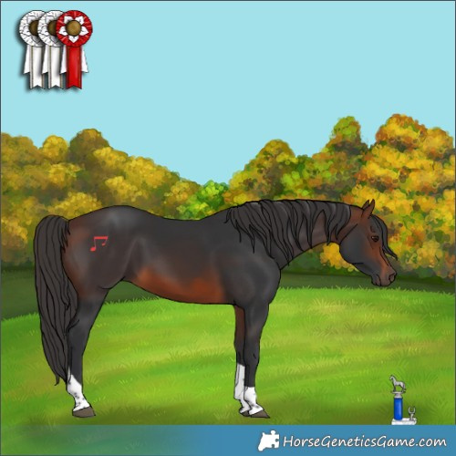 Horse Color:Brown Tobiano 