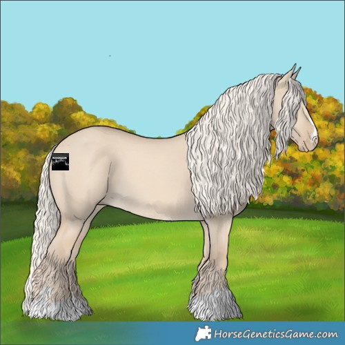 Horse Color:Cremello Dun 