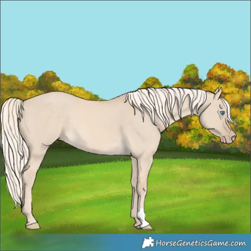 Horse Color:Cremello Dun