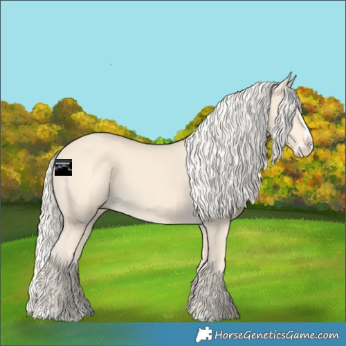 Horse Color:Cremello Splash and Cremello Splash
