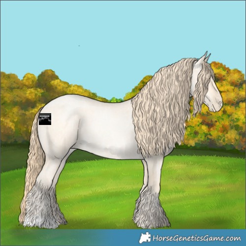 Horse Color:Buckskin Roan Pearl  and Buckskin Roan Pearl 