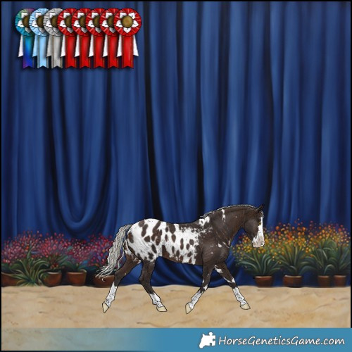 Horse Color:White Spotted Silver Brown Splash Blanket 