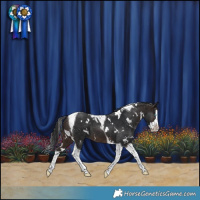 Horse Color:White Spotted Brown Splash Tobiano