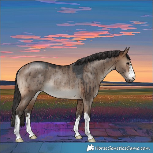 Horse Color:Brown Dun Rabicano Brindle