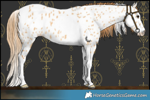Horse Color:Red Dun Tobiano Near Leopard 