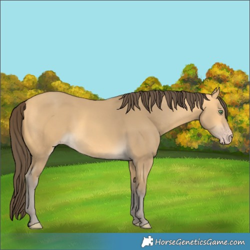 Horse Color:Amber Cream Champagne 