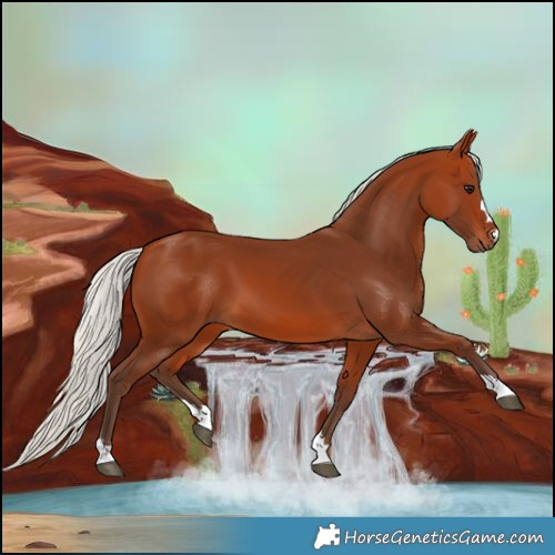 Horse Color:Silver Bay 