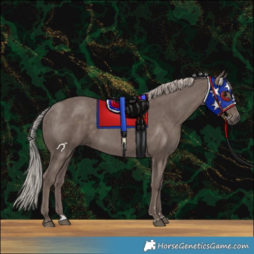 Horse Color:Silver Black