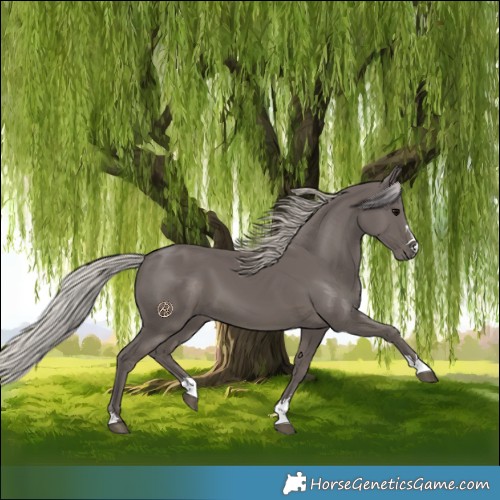 Horse Color:Silver Black 