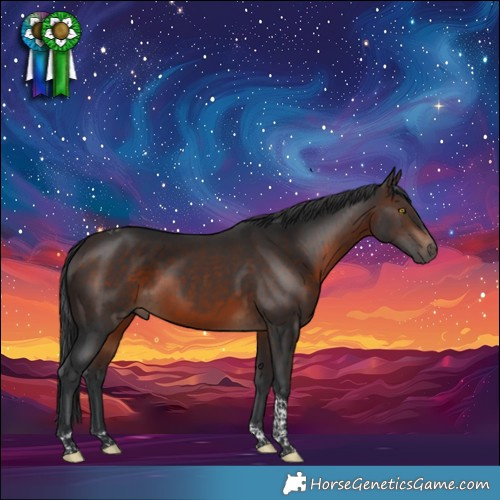 Horse Color:Brown Tobiano 