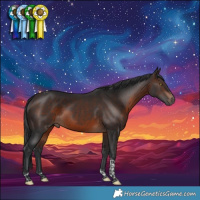 Horse Color:Brown Tobiano 