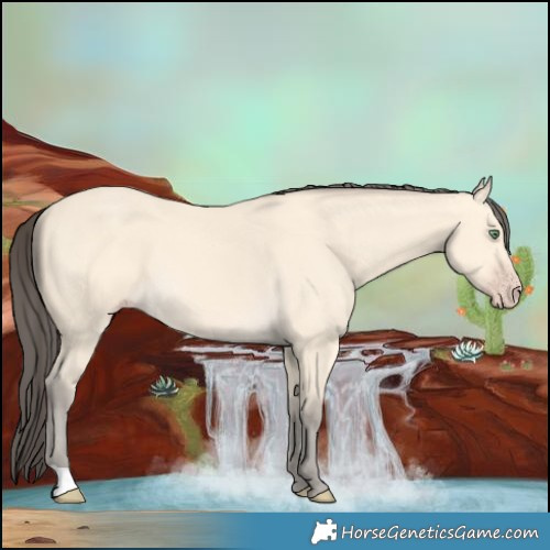 Horse Color:Amber Cream Champagne