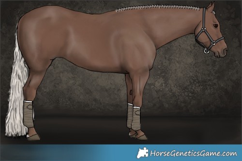 Horse Color:Silver Black 