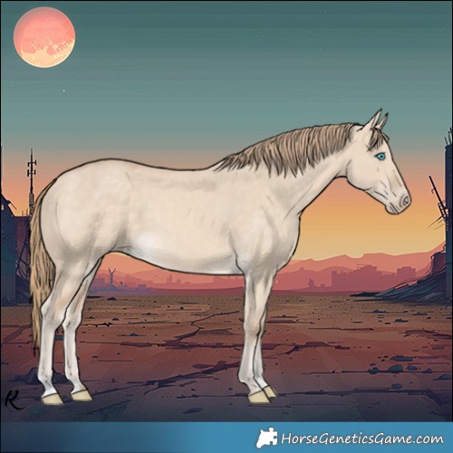 Horse Color:Perlino Dun