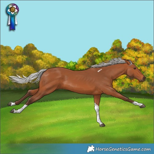 Horse Color:Silver Bay Tobiano