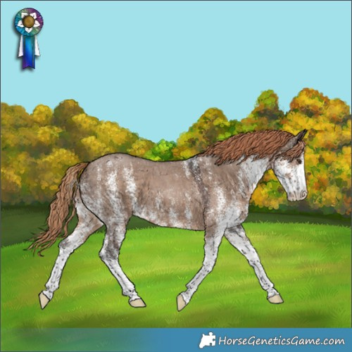 Horse Color:White Spotted Liver Red Dun
