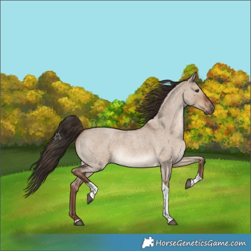 Horse Color:Liver Red Dun Roan Tobiano