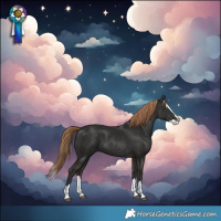 Horse Color:Liver Chestnut Splash