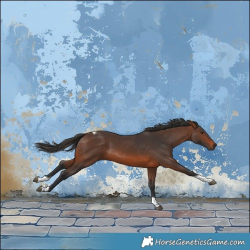 Horse Color:Brown Tobiano