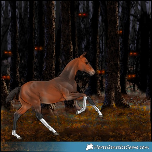 Horse Color:Unknown 