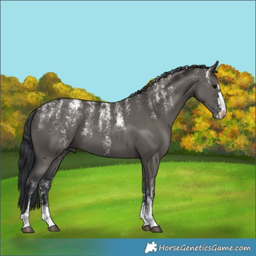 Horse Color:Powder White Grullo