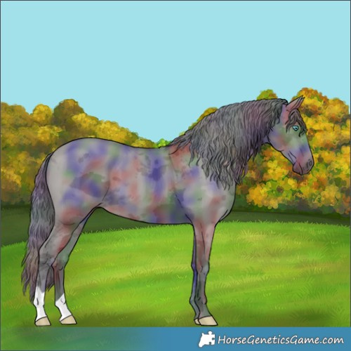 Horse Color:Nacre Smoky Grullo Merle 