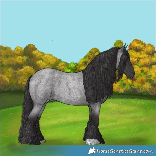 Horse Color:Smoky Blue Roan 